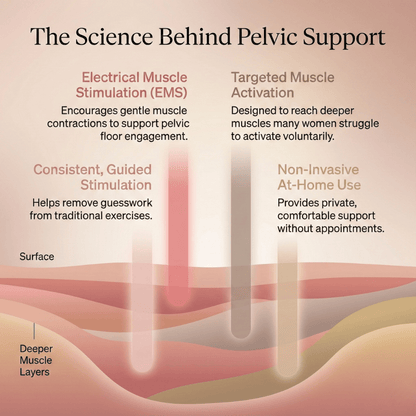 Lenixi Pelvera Lift System